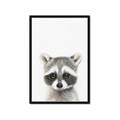 Picture of Coon Baby _GroupedProduct_Rectangle_Portrait_Mini_ _GroupedProduct_Rectangle_Portrait_Framed_Matted_