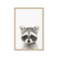 Picture of Coon Baby _GroupedProduct_Rectangle_Portrait_Mini_ _GroupedProduct_Rectangle_Portrait_Framed_Matted_
