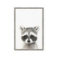 Picture of Coon Baby _GroupedProduct_Rectangle_Portrait_Mini_ _GroupedProduct_Rectangle_Portrait_Framed_Matted_