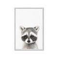 Picture of Coon Baby _GroupedProduct_Rectangle_Portrait_Mini_ _GroupedProduct_Rectangle_Portrait_Framed_Matted_