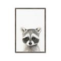 Picture of Coon Baby _GroupedProduct_Rectangle_Portrait_Mini_ _GroupedProduct_Rectangle_Portrait_Framed_Matted_