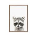Picture of Coon Baby _GroupedProduct_Rectangle_Portrait_Mini_ _GroupedProduct_Rectangle_Portrait_Framed_Matted_