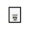 Picture of Coon Baby _GroupedProduct_Rectangle_Portrait_Mini_ _GroupedProduct_Rectangle_Portrait_Framed_Matted_