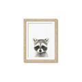 Picture of Coon Baby _GroupedProduct_Rectangle_Portrait_Mini_ _GroupedProduct_Rectangle_Portrait_Framed_Matted_