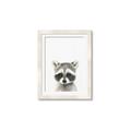 Picture of Coon Baby _GroupedProduct_Rectangle_Portrait_Mini_ _GroupedProduct_Rectangle_Portrait_Framed_Matted_