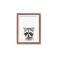Picture of Coon Baby _GroupedProduct_Rectangle_Portrait_Mini_ _GroupedProduct_Rectangle_Portrait_Framed_Matted_