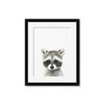 Picture of Coon Baby _GroupedProduct_Rectangle_Portrait_Mini_ _GroupedProduct_Rectangle_Portrait_Framed_Matted_