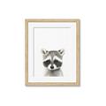 Picture of Coon Baby _GroupedProduct_Rectangle_Portrait_Mini_ _GroupedProduct_Rectangle_Portrait_Framed_Matted_