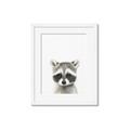 Picture of Coon Baby _GroupedProduct_Rectangle_Portrait_Mini_ _GroupedProduct_Rectangle_Portrait_Framed_Matted_