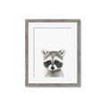 Picture of Coon Baby _GroupedProduct_Rectangle_Portrait_Mini_ _GroupedProduct_Rectangle_Portrait_Framed_Matted_
