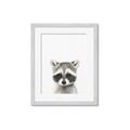 Picture of Coon Baby _GroupedProduct_Rectangle_Portrait_Mini_ _GroupedProduct_Rectangle_Portrait_Framed_Matted_