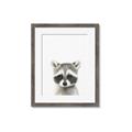 Picture of Coon Baby _GroupedProduct_Rectangle_Portrait_Mini_ _GroupedProduct_Rectangle_Portrait_Framed_Matted_