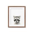 Picture of Coon Baby _GroupedProduct_Rectangle_Portrait_Mini_ _GroupedProduct_Rectangle_Portrait_Framed_Matted_