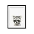 Picture of Coon Baby _GroupedProduct_Rectangle_Portrait_Mini_ _GroupedProduct_Rectangle_Portrait_Framed_Matted_
