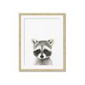 Picture of Coon Baby _GroupedProduct_Rectangle_Portrait_Mini_ _GroupedProduct_Rectangle_Portrait_Framed_Matted_