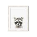 Picture of Coon Baby _GroupedProduct_Rectangle_Portrait_Mini_ _GroupedProduct_Rectangle_Portrait_Framed_Matted_