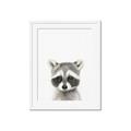 Picture of Coon Baby _GroupedProduct_Rectangle_Portrait_Mini_ _GroupedProduct_Rectangle_Portrait_Framed_Matted_