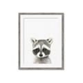 Picture of Coon Baby _GroupedProduct_Rectangle_Portrait_Mini_ _GroupedProduct_Rectangle_Portrait_Framed_Matted_