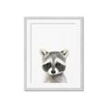Picture of Coon Baby _GroupedProduct_Rectangle_Portrait_Mini_ _GroupedProduct_Rectangle_Portrait_Framed_Matted_