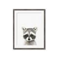 Picture of Coon Baby _GroupedProduct_Rectangle_Portrait_Mini_ _GroupedProduct_Rectangle_Portrait_Framed_Matted_