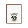 Picture of Coon Baby _GroupedProduct_Rectangle_Portrait_Mini_ _GroupedProduct_Rectangle_Portrait_Framed_Matted_