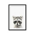 Picture of Coon Baby _GroupedProduct_Rectangle_Portrait_Mini_ _GroupedProduct_Rectangle_Portrait_Framed_Matted_