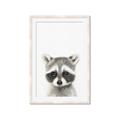 Picture of Coon Baby _GroupedProduct_Rectangle_Portrait_Mini_ _GroupedProduct_Rectangle_Portrait_Framed_Matted_