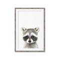 Picture of Coon Baby _GroupedProduct_Rectangle_Portrait_Mini_ _GroupedProduct_Rectangle_Portrait_Framed_Matted_