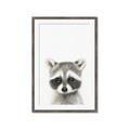 Picture of Coon Baby _GroupedProduct_Rectangle_Portrait_Mini_ _GroupedProduct_Rectangle_Portrait_Framed_Matted_