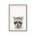 Picture of Coon Baby _GroupedProduct_Rectangle_Portrait_Mini_ _GroupedProduct_Rectangle_Portrait_Framed_Matted_
