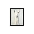 Picture of Brown and White Llama _GroupedProduct_Rectangle_Portrait_Mini_ _GroupedProduct_Rectangle_Portrait_Framed_Matted_