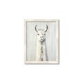 Picture of Brown and White Llama _GroupedProduct_Rectangle_Portrait_Mini_ _GroupedProduct_Rectangle_Portrait_Framed_Matted_