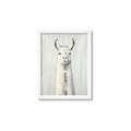 Picture of Brown and White Llama _GroupedProduct_Rectangle_Portrait_Mini_ _GroupedProduct_Rectangle_Portrait_Framed_Matted_