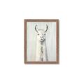 Picture of Brown and White Llama _GroupedProduct_Rectangle_Portrait_Mini_ _GroupedProduct_Rectangle_Portrait_Framed_Matted_