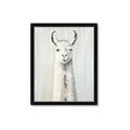 Picture of Brown and White Llama _GroupedProduct_Rectangle_Portrait_Mini_ _GroupedProduct_Rectangle_Portrait_Framed_Matted_