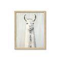Picture of Brown and White Llama _GroupedProduct_Rectangle_Portrait_Mini_ _GroupedProduct_Rectangle_Portrait_Framed_Matted_