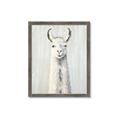 Picture of Brown and White Llama _GroupedProduct_Rectangle_Portrait_Mini_ _GroupedProduct_Rectangle_Portrait_Framed_Matted_