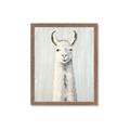 Picture of Brown and White Llama _GroupedProduct_Rectangle_Portrait_Mini_ _GroupedProduct_Rectangle_Portrait_Framed_Matted_