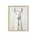 Picture of Brown and White Llama _GroupedProduct_Rectangle_Portrait_Mini_ _GroupedProduct_Rectangle_Portrait_Framed_Matted_