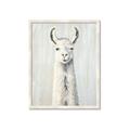 Picture of Brown and White Llama _GroupedProduct_Rectangle_Portrait_Mini_ _GroupedProduct_Rectangle_Portrait_Framed_Matted_