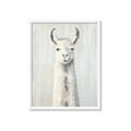 Picture of Brown and White Llama _GroupedProduct_Rectangle_Portrait_Mini_ _GroupedProduct_Rectangle_Portrait_Framed_Matted_