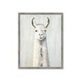 Picture of Brown and White Llama _GroupedProduct_Rectangle_Portrait_Mini_ _GroupedProduct_Rectangle_Portrait_Framed_Matted_
