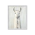 Picture of Brown and White Llama _GroupedProduct_Rectangle_Portrait_Mini_ _GroupedProduct_Rectangle_Portrait_Framed_Matted_