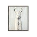 Picture of Brown and White Llama _GroupedProduct_Rectangle_Portrait_Mini_ _GroupedProduct_Rectangle_Portrait_Framed_Matted_