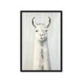 Picture of Brown and White Llama _GroupedProduct_Rectangle_Portrait_Mini_ _GroupedProduct_Rectangle_Portrait_Framed_Matted_