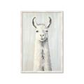 Picture of Brown and White Llama _GroupedProduct_Rectangle_Portrait_Mini_ _GroupedProduct_Rectangle_Portrait_Framed_Matted_
