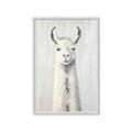 Picture of Brown and White Llama _GroupedProduct_Rectangle_Portrait_Mini_ _GroupedProduct_Rectangle_Portrait_Framed_Matted_