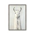Picture of Brown and White Llama _GroupedProduct_Rectangle_Portrait_Mini_ _GroupedProduct_Rectangle_Portrait_Framed_Matted_