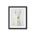 Picture of Brown and White Llama _GroupedProduct_Rectangle_Portrait_Mini_ _GroupedProduct_Rectangle_Portrait_Framed_Matted_