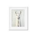 Picture of Brown and White Llama _GroupedProduct_Rectangle_Portrait_Mini_ _GroupedProduct_Rectangle_Portrait_Framed_Matted_